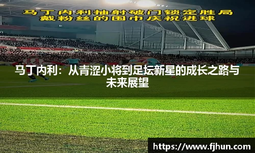 马丁内利:从青涩小将到足坛新星的成长之路与未来展望
